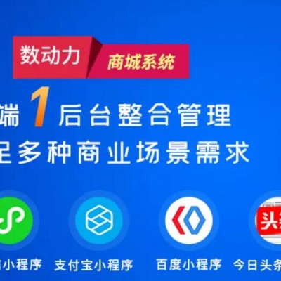 数动力6年专注小程序公众号APP开发