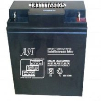 AST金狮蓄电池ST12-17 12V17AH/20HR免维护UPS直流屏EPS电瓶 干电池