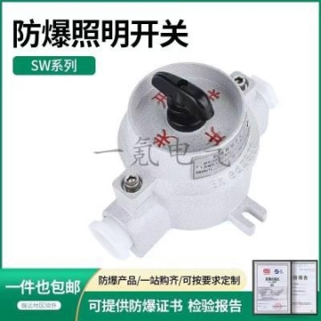 防水防尘防爆照明开关SW-10A/16A 220V380V转换墙壁开关IIBIIC级